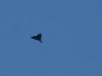 Russian-drones-entered Polish-airspace